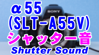 SLT-A55V