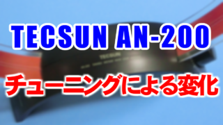 AN-200(TECSUN,中波用ループアンテナ)による変化