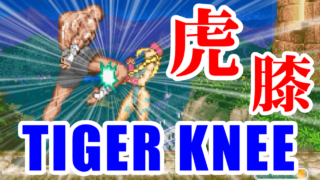[虎膝祭] タイガーニー(TIGER KNEE) - SUPER STREET FIGHTER II X(3DO)