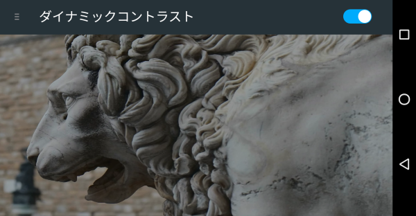 ダイナミックコントラスト_MiraVision_REI