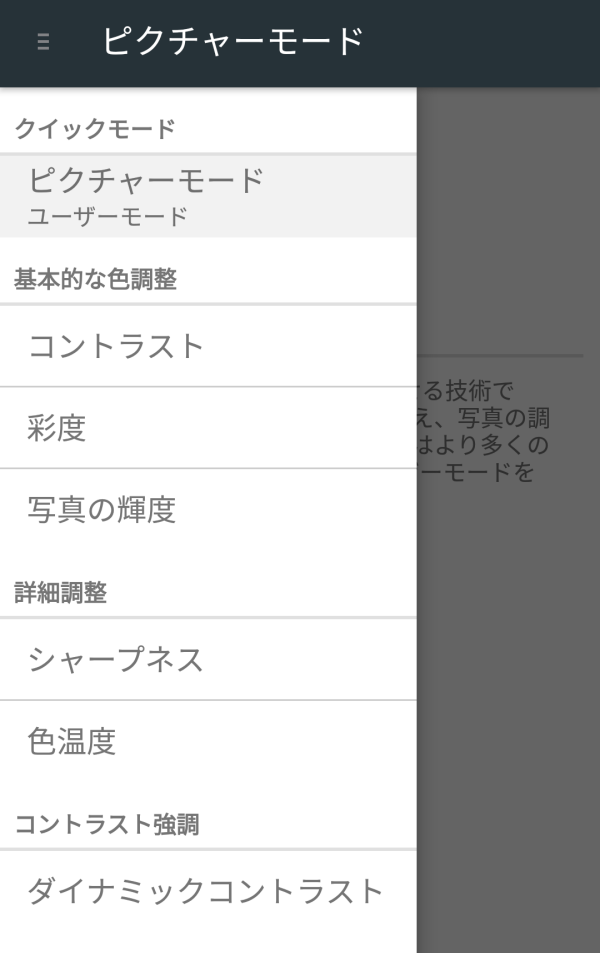 詳細設定_MiraVision_REI