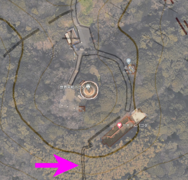 僧院から先の道